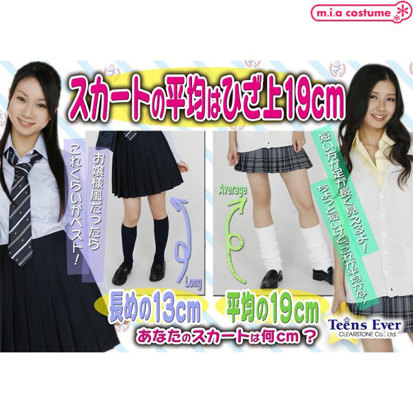 �s���������@�d�������@�v���[�c�X�J�[�g�@���n�O���[�@�k