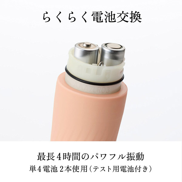 �����������i�C���n�j�@�v���W���[�E�A�C�e���E�[���@�i�g�`�m�`�b�g�`�j